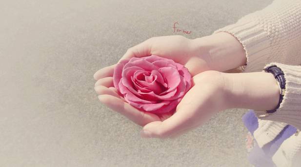 图片[2]-错过了再回头，就成了打扰-轻刻年轮