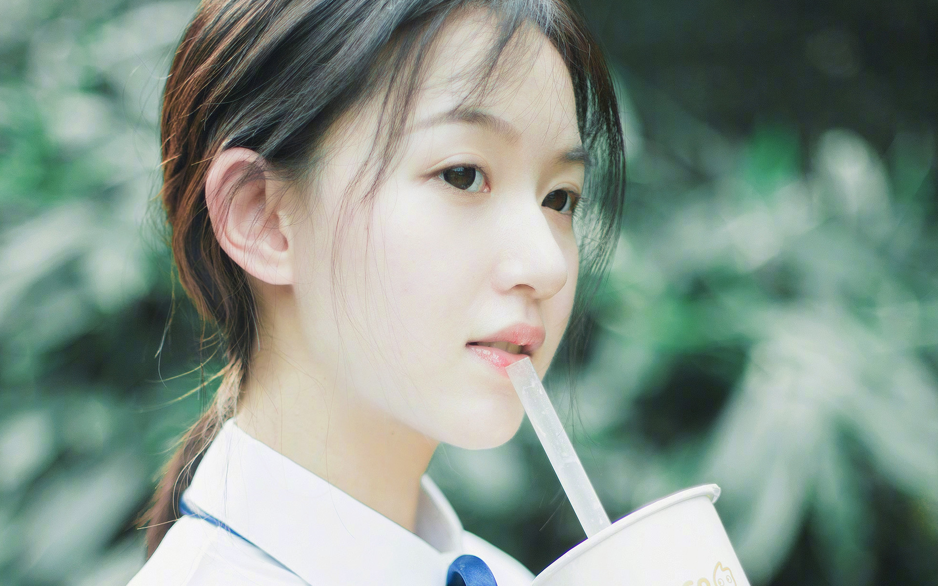 wordpress添加说说/微语功能美化版纯代码加微语-轻刻年轮