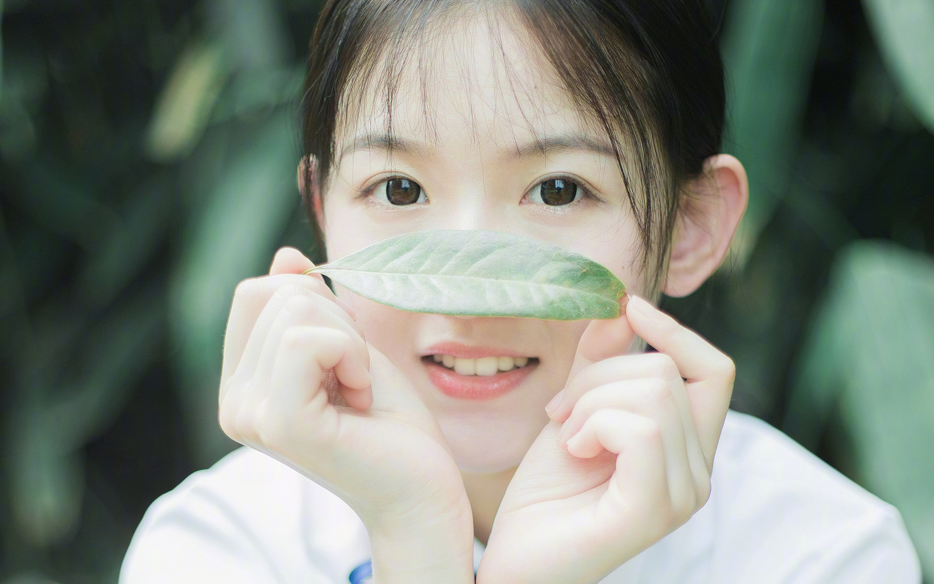 WordPress IP验证不当漏洞解决办法-轻刻年轮