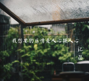 我想要的感情是人心换人心-轻刻年轮
