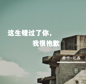 这生错过了你,我很抱歉-轻刻年轮