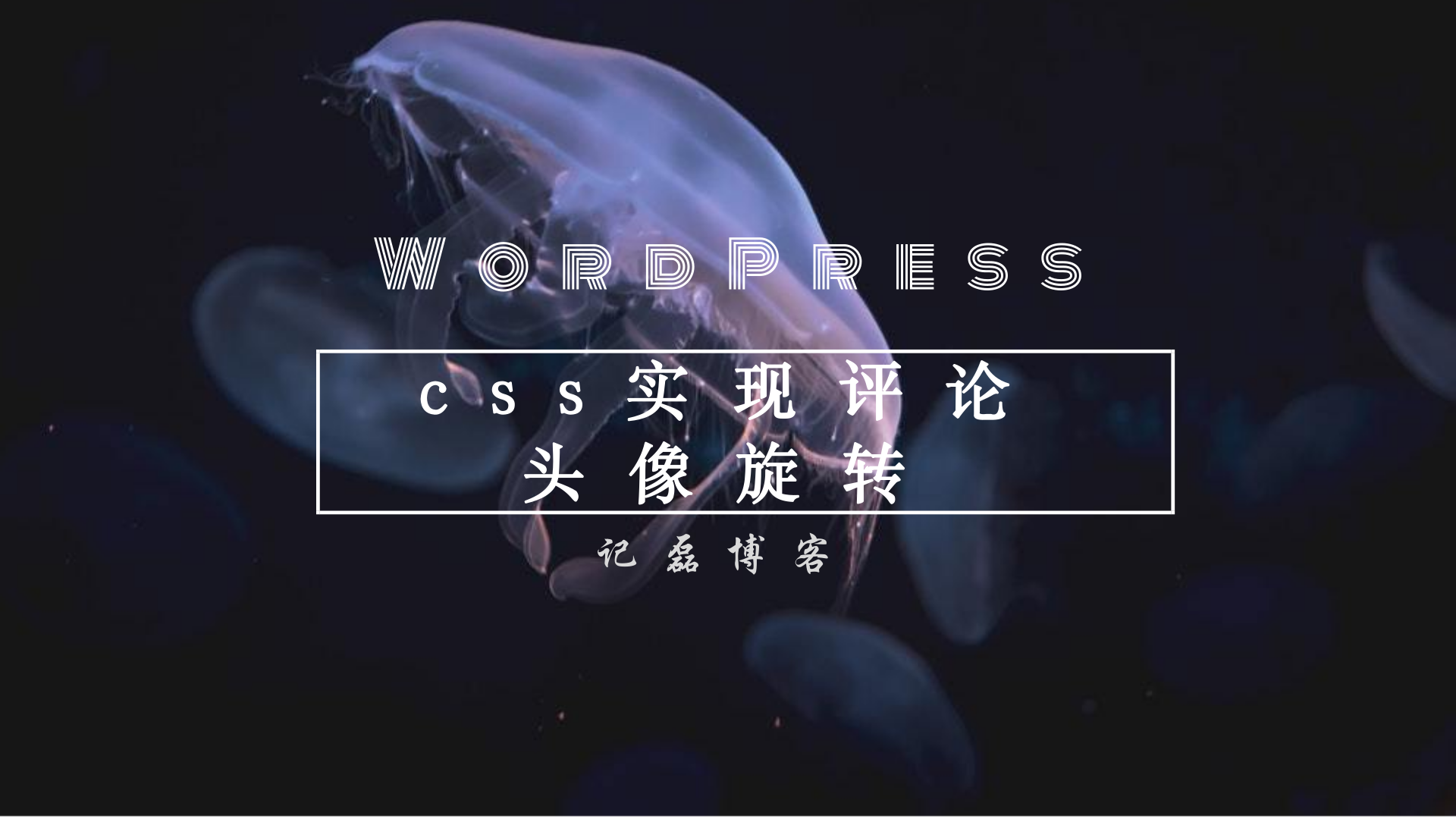 WordPress简单加入css实现评论头像旋转-轻刻年轮