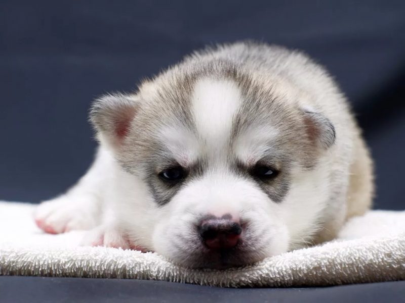 图片[2]-慢慢来的爱情才能走的远-轻刻年轮