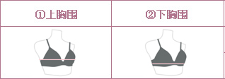 图片[1]-【技术篇】关于女性文胸尺码的深入探讨及相关知识整合-轻刻年轮