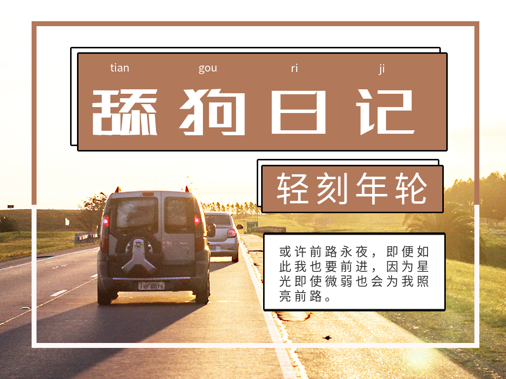 图片[1]-一言日记单身狗日记源码舔狗日记PHP源码只做有趣的源码资源下载-轻刻年轮