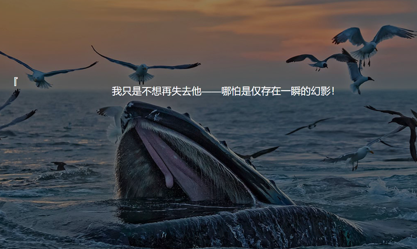 视频解析无广告解析接口搭建,全网通用解析的视频解析系统短视频解析无水印影视JSON接口程序-轻刻年轮