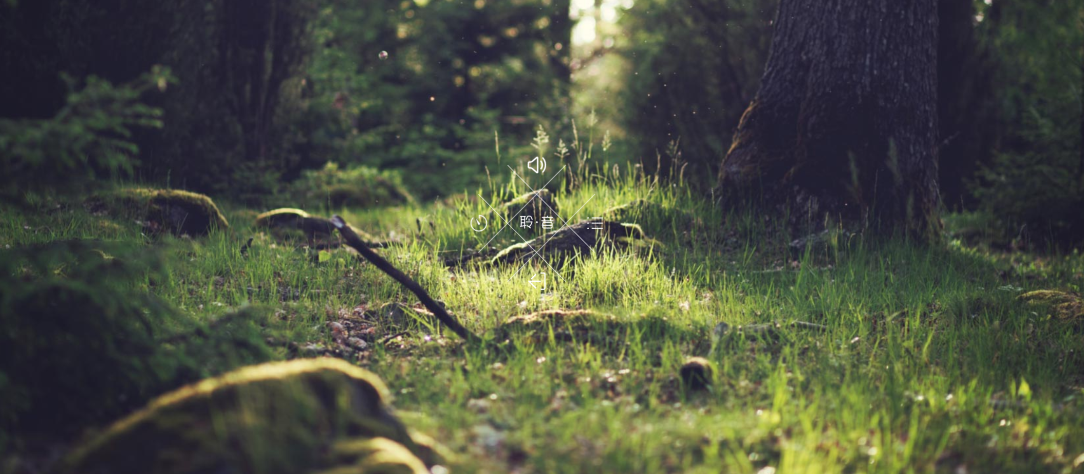 图片[2]-聆音 – 让白噪音放松你的心情程序源码分享放松心情白噪音源码音乐源码下载-轻刻年轮