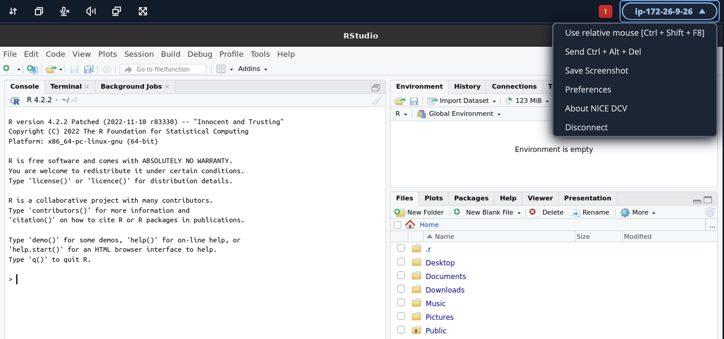 图片[4]-采用一体化研究环境的 Amazon Lightsail for Research-轻刻年轮